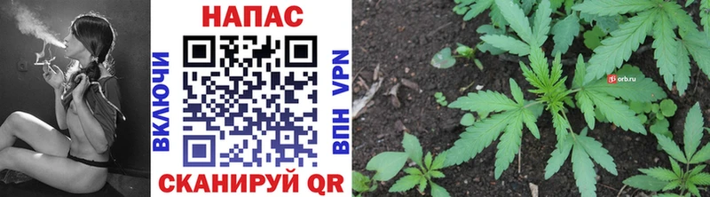 Купить Кинель Амфетамин  Конопля  COCAIN  СК 