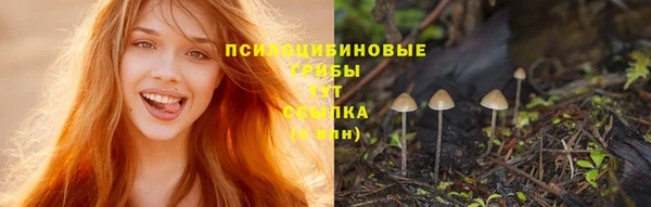 MDMA Нефтегорск