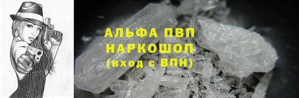 гашик Нефтекумск