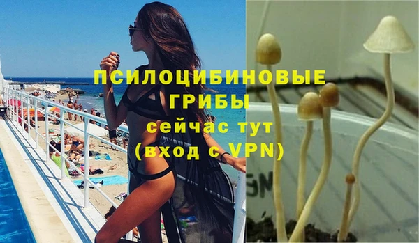 mix Нея