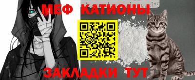 меф Гатчина