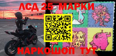 меф Гатчина
