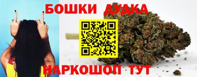 дмт Гай