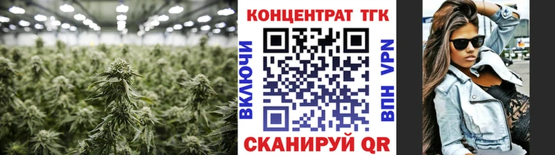 Дистиллят ТГК Wax  Кинель 