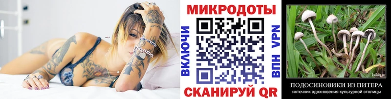 Галлюциногенные грибы Psilocybe даркнет сайт Кинель