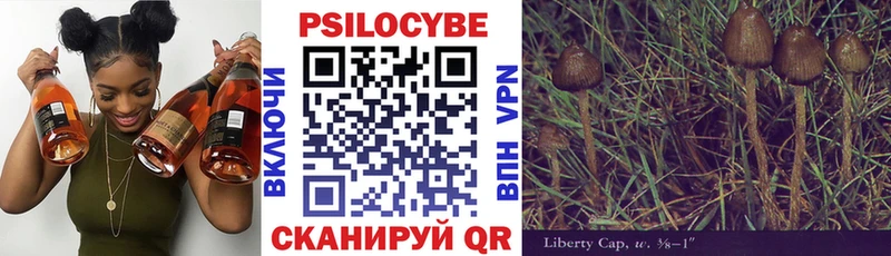 Псилоцибиновые грибы мухоморы Кинель